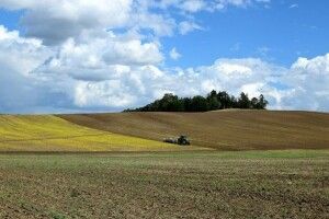 За яких умов в українців зможуть конфісковувати земельні ділянки