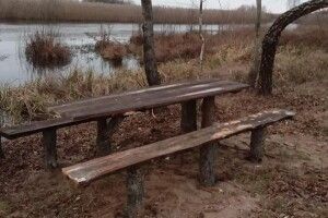 Природоохоронці прибрали берег річки Прип'ять в урочищі Скочище (Фото)