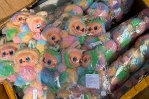 На Волинь прямувала 8-тисячна партія підробленої іграшки Лабубу