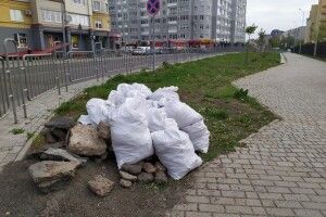 На вулиці Липинського в Луцьку просто на газоні «виросла» купа сміття 