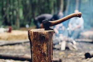Скільки цього року коштують дрова. Невдовзі їх можна буде  купити в інтернет-магазині