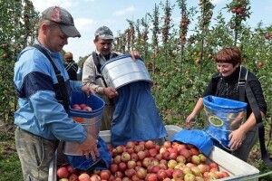 Кращої долі за кордоном шукають не лише українці