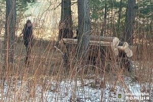 На Рівненщині затримали 24-річного крадія лісу