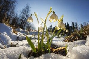 Якою буде погода на Волині