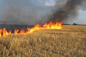 Волинянина, що запалив стерню, оштрафували на кругленьку суму