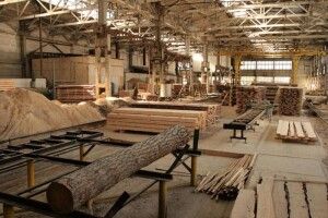 Зросла конкуренція приватників: ДП «Ліси України» закрило усі деревообробні цехи