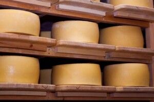 Українці активно наминають сири з Польщі, Німеччини та Нідерландів