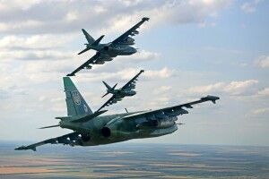 У Рябошапки зупинили передачу військового полігону на Волині лісівникам