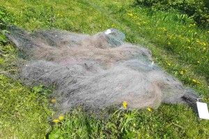 На волинських озерах промишляють порушники