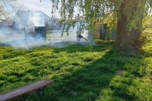 У кожного третього кліща, знятого з волинян, виявили борелії