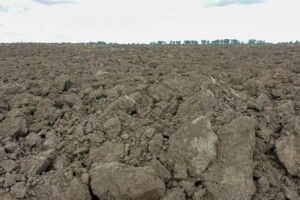 З початку липня вже 381 українець встиг продати свою землю