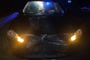 На трасі Київ–Чоп 24-річний хлопець на смерть збив свою однолітку