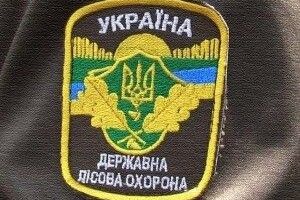 На Волині вигадали новий спосіб, як красти ліс