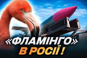 Із космосу показали, як «Фламінго» пробила дах військового заводу в росії
