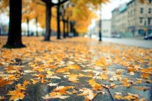 Якою буде погода на Волині