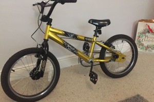 У Нововолинську заарештували на три місяці чоловіка, який приробив ноги сусідському роверу