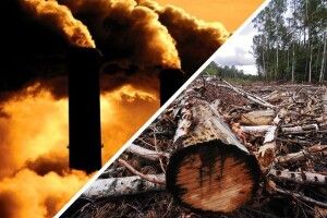 Волинянам розповіли про сервіс фіксації фактів заподіяння шкоди довкіллю