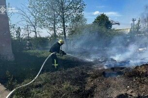 Сьогодні на Волині горіло 6 гектарів