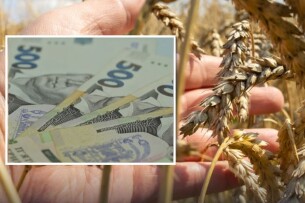 Як покарали пенсіонера з Волині, який посіяв пшеницю біля озера 