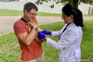 Завтра у громаді на Волині чотирилапим улюбленцям проведуть важливу вакцинацію 
