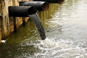 Луцькводоканал «влетів» на 8 мільйонів за забруднення води та загибель риби