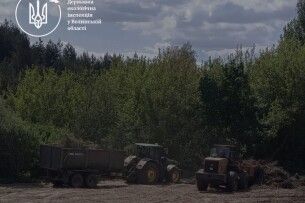 На Волині виявлено незаконну порубку лісу