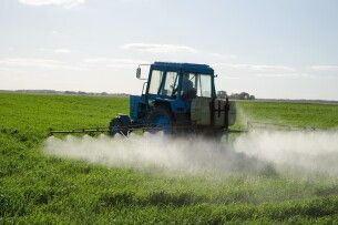У громаді на Волині селян попереджають про небезпеку отруєння протягом одного-двох тижнів