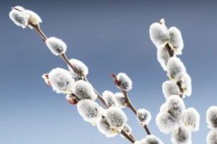 Якою буде погода на Волині в найближчі дні