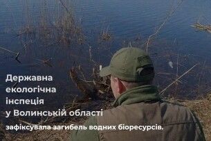 На Волині виявили масову загибель риби на водоймі