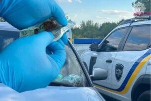 У Луцьку пасажир Audi «погорів» через надмірне хвилювання