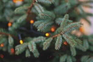 Якою буде погода на Волині