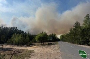 На Рівненщині вогонь дійшов до природного заповідника