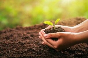 На Волині за 5 мільйонів гривень викупили спецдозвіл видобутку сапропелю на озері Синове