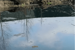 Перетворилися на болото: волинська блогерка показала, що сталося з Оконськими джерелами (Відео)