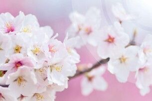 Температурні гойдалки: якою буде погода на Волині