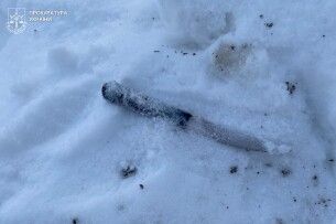 Бив трьома ножами та металевим рівнем: на Львівщині молодик влаштував криваву розправу 