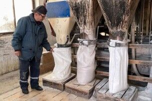 Від очищення до фасування: як на Волині виготовляють борошно у млині 