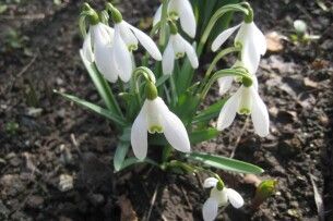 Якою буде погода до кінця тижня на Волині