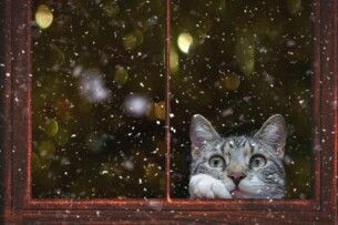 Якою буде погода на Волині