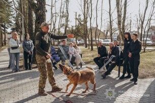 Ментальне здоров'я на чотирьох лапах: як каністерапія допомагає волинським захисникам