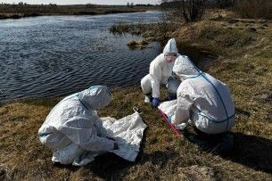 На Волині активізувалися іксодові кліщі: за березень зафіксовано 12 випадків укусів