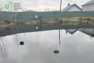 Екоінспекція Волині розслідує причини обміління Оконських джерел