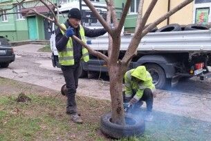 У Луцьку чистять двори від автомобільних шин