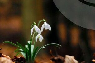 Якою буде погода на Волині