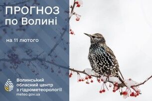 Якою буде погода на Волині