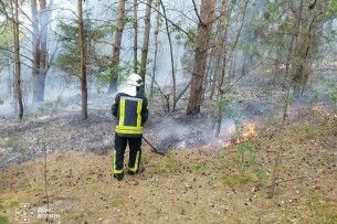 На Волині виявили палія сухостою та жнивних залишків: чоловік отримав штраф