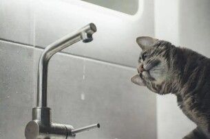 Зробіть запаси: де у Луцьку через ремонт водопроводу не буде води 