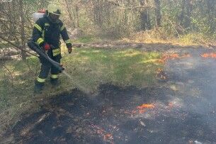 Вогонь міг знищити природні скарби: на Волині через куріння горів ліс 