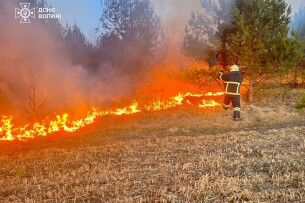 На Волині через людську недбалість горіло 16 гектарів сухої трави