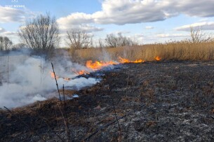 Гасити пожежу на Волині довелося патрульним (Відео)